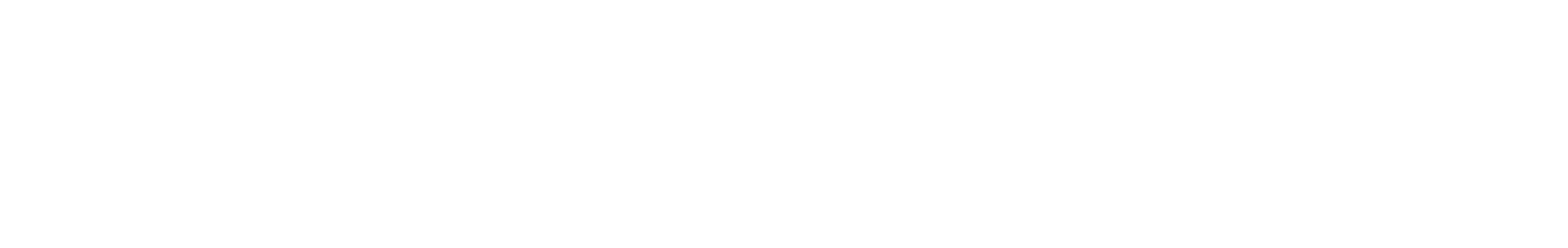 TOPwindows logo